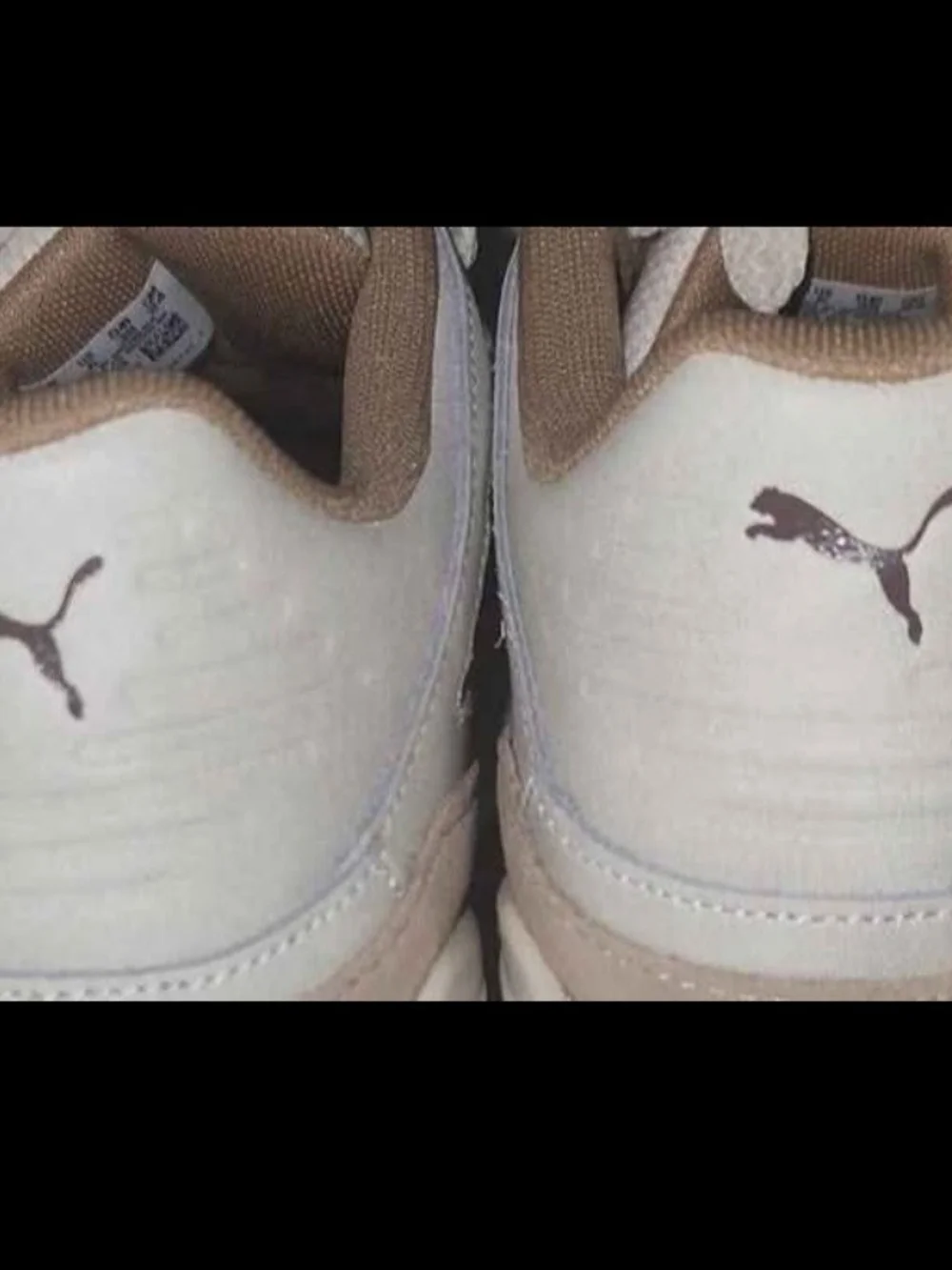 Puma Sneakers